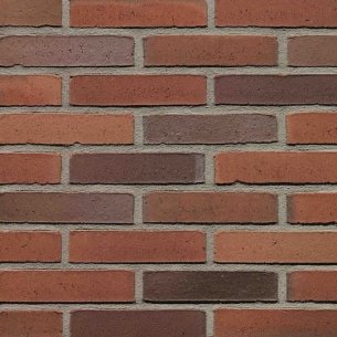 Кирпич Terca Бельгия Passiebloem 215x102x65 WDF